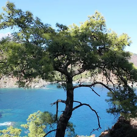 La Boutique Hemerans Çıralı