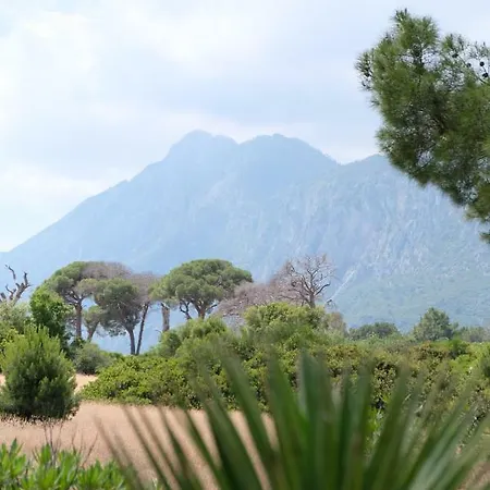 La Boutique Hemerans Çıralı