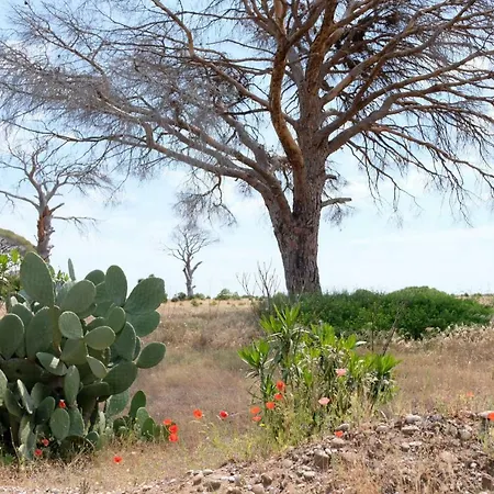 게스트하우스 La Boutique Hemerans 3*