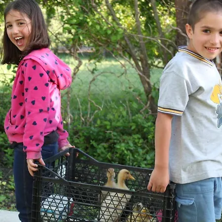 Pensión La Boutique Hemerans 3*