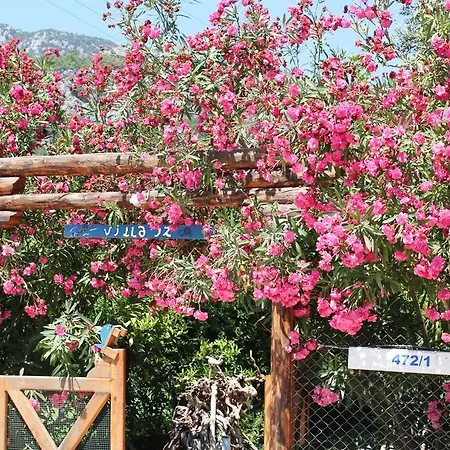 Pensión La Boutique Hemerans 3*