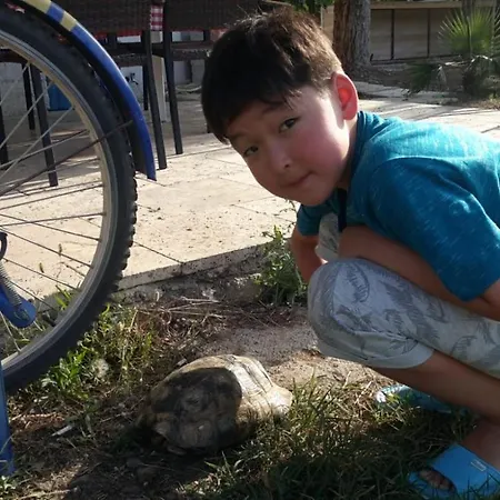 La Boutique Hemerans 3*