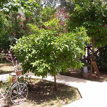 La Boutique Hemerans Pensión