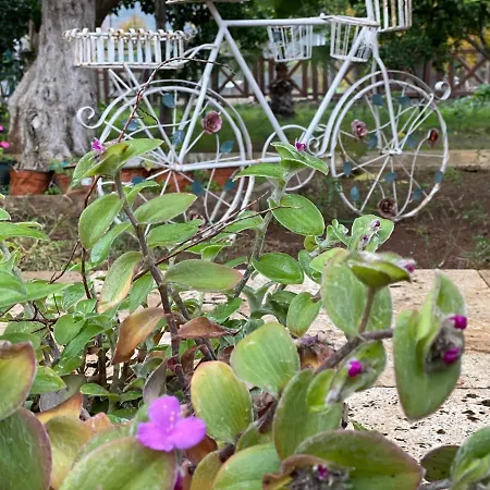 Pensión La Boutique Hemerans